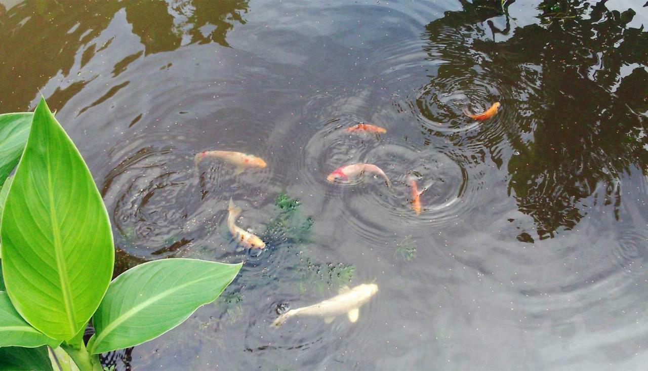 Yesterday Sathon Bangkok Exteriör bild